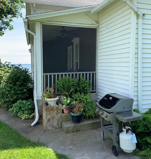 Gas and charcoal grills