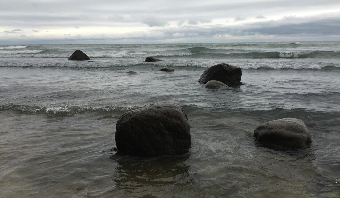 Scheele Reserve beach